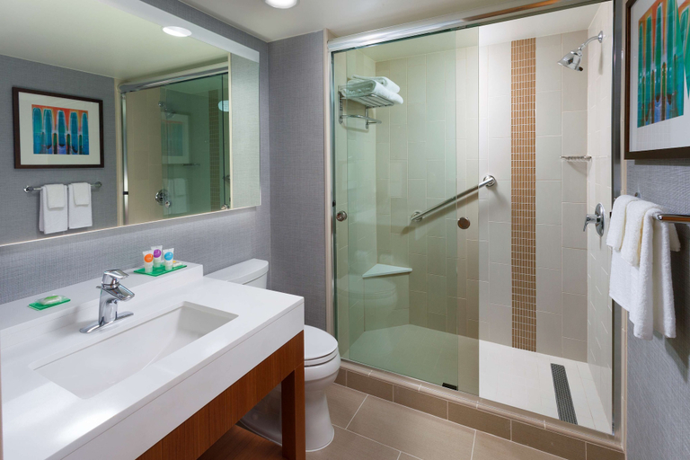 Bathroom 4, Hyatt Place Austin Downtown, Travis