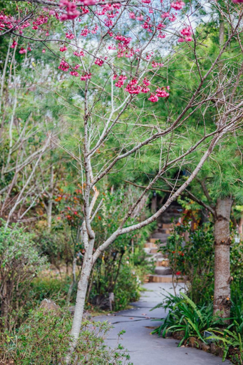 Others 5, Yunnan Homestay, Nantou