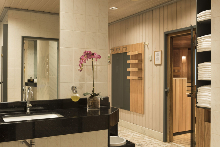 Bathroom 5, Maritim Hotel Ulm, Ulm