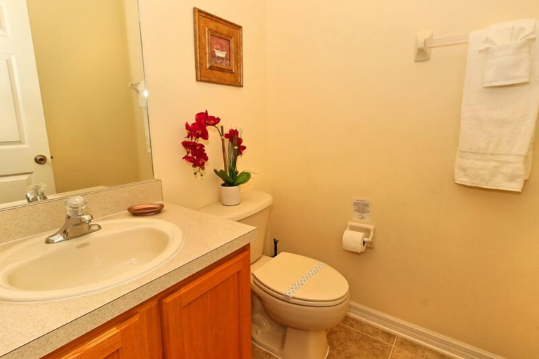 Bathroom 4, 1915msd, Lake