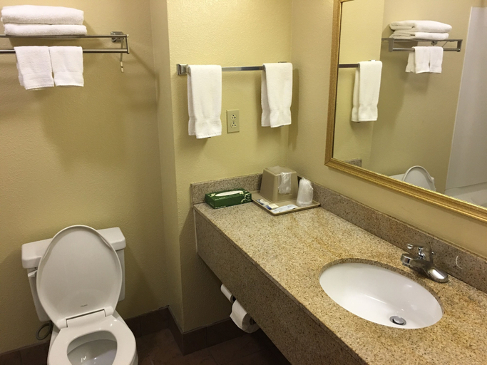 Bathroom 4, Hometown Inn Soddy Daisy, Hamilton