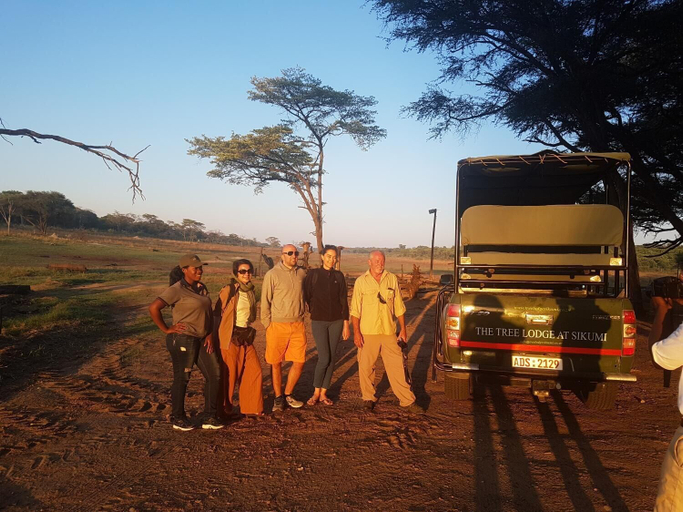 Others 5, The Tree Lodge at Sikumi, Hwange