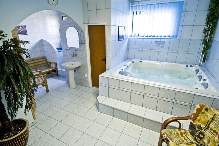 Bathroom 3, Hotel Relax U Drsu, Tábor