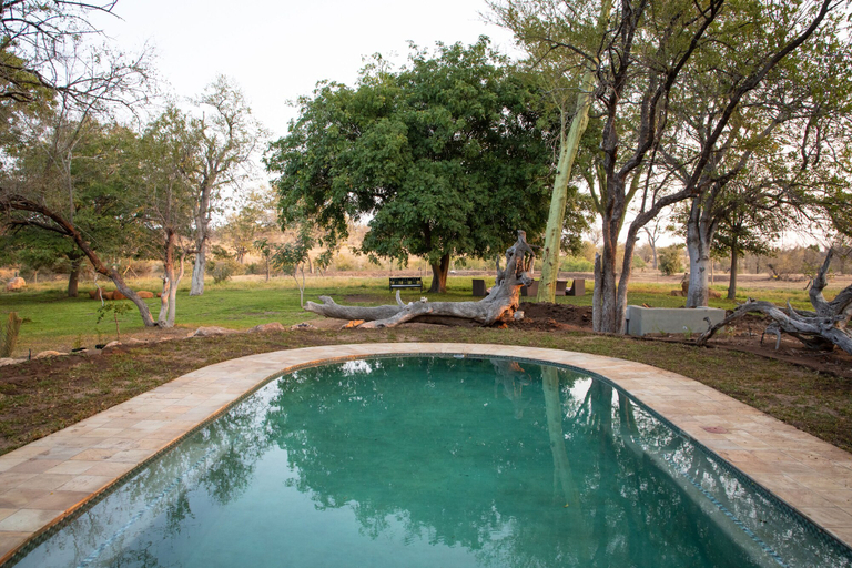 Sport & Beauty 3, Simbavati Camp George, Ehlanzeni