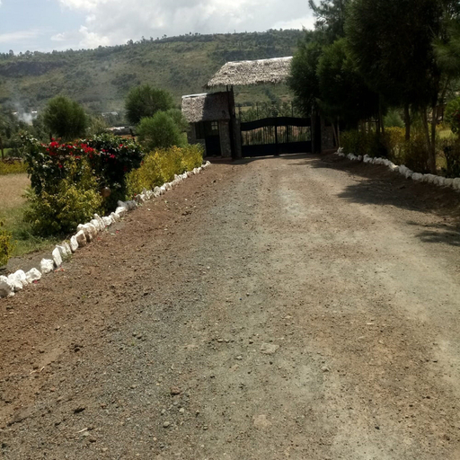 Exterior 4, Oldonyo Lodge, Nakuru Town East