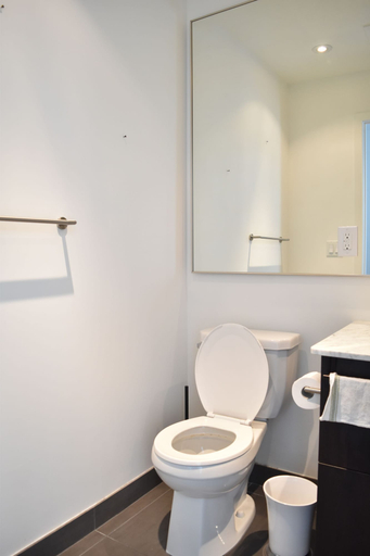 Bathroom 3, Skyline Properties, Toronto
