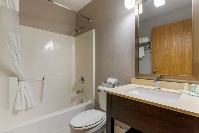 Bathroom 4, Quality Inn, Sequoyah