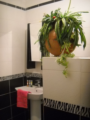 Bathroom 3, Bedouin Castle, Unorganized in Al Jizah
