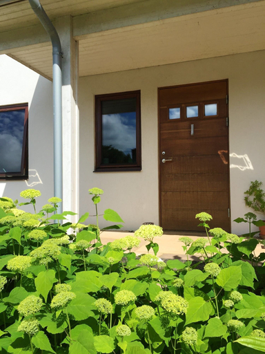 Others 4, The Eco-Flat, Dorset