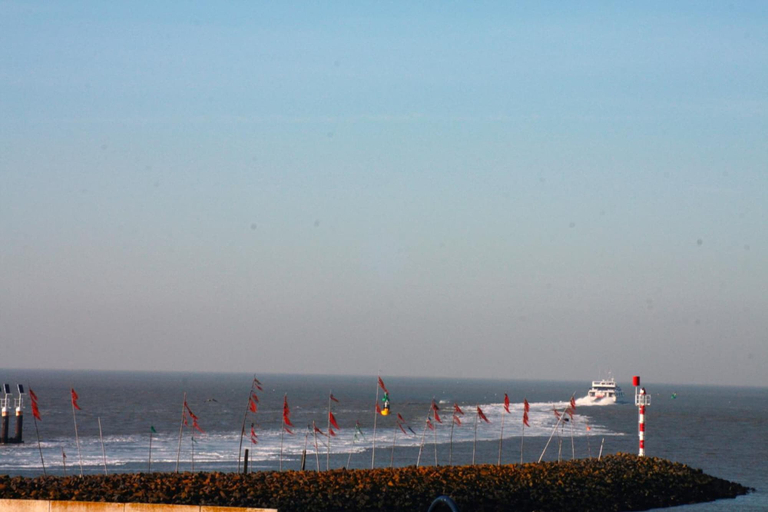 Others 5, Boutique Hotel De Eilanden, Harlingen