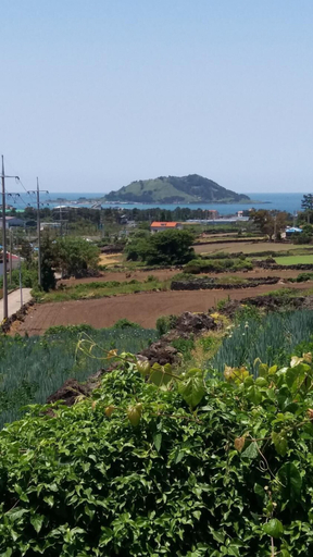 Others 5, Sea The Biyang Pension, Jeju