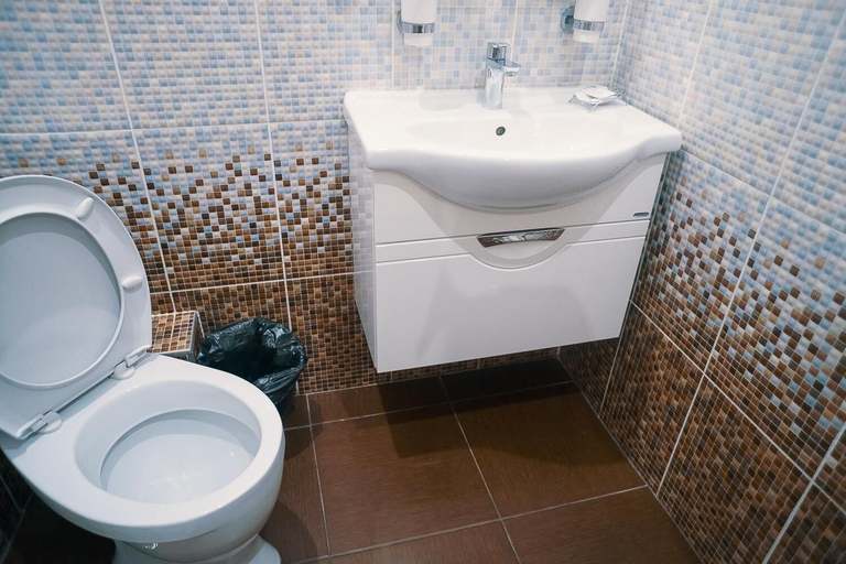 Bathroom 3, Hotel Meridian, Angarskiy rayon