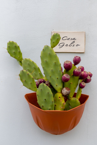 Food & Drinks, Borgo Tortorella - Casa Gelso, Bari