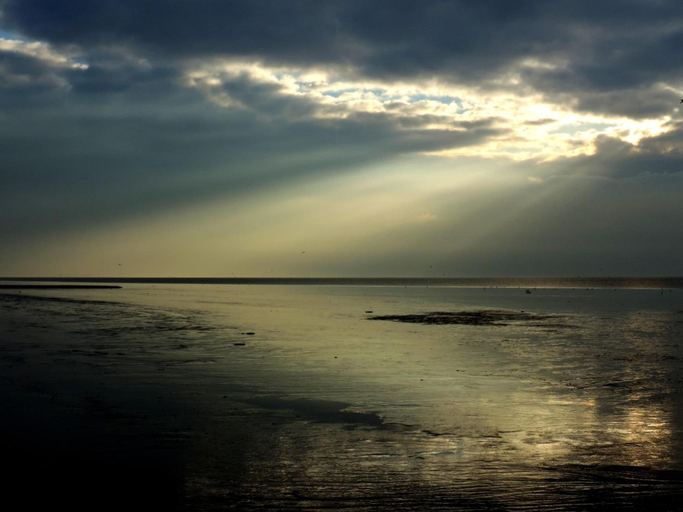 Others 5, Boutique Hotel De Eilanden, Harlingen
