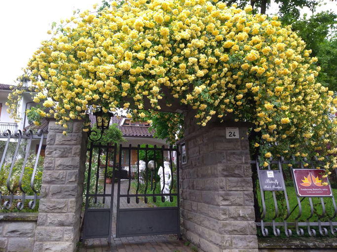 Exterior & Views 2, Butterfly B&B, Forli' - Cesena