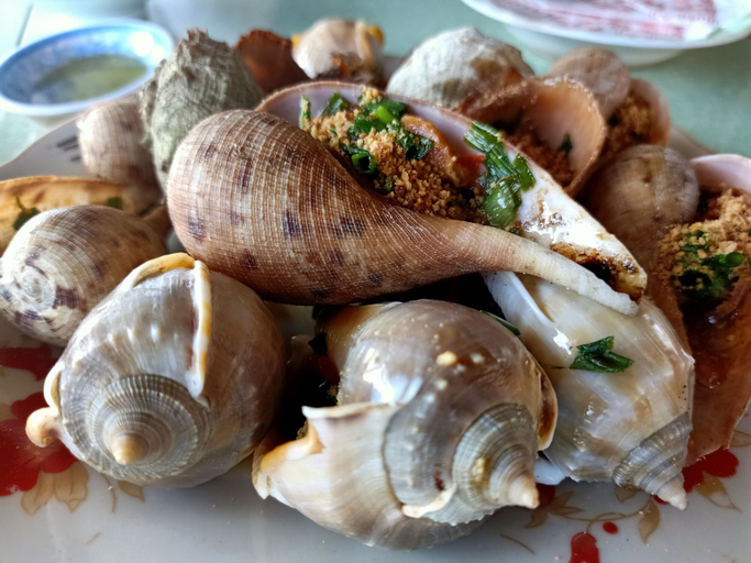 Food & Drinks 5, Son Tra Guest House, Phan Thiết