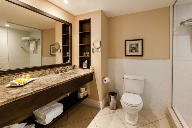 Bathroom 4, Le St-Martin Hotel & Suites Laval, Laval