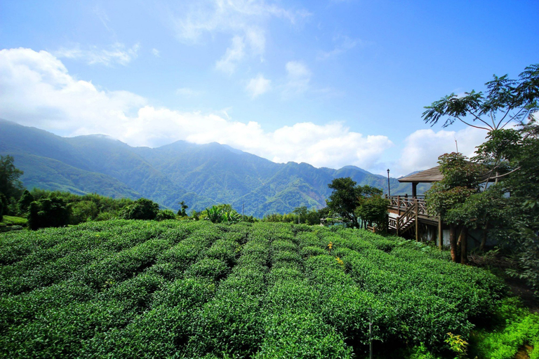 Others 5, Xu Jia Chayuan B&B, Chiayi County