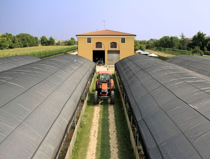 Others 5, Agriturismo Il Melograno, Venezia