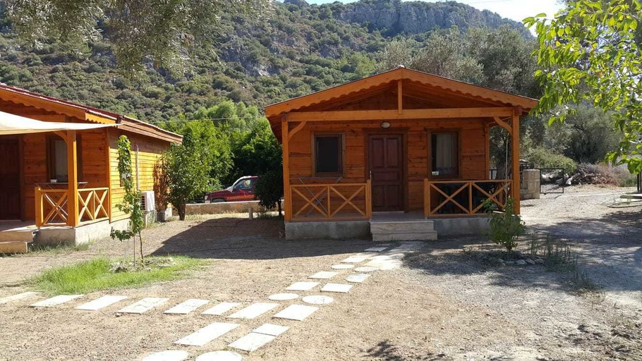Primary image