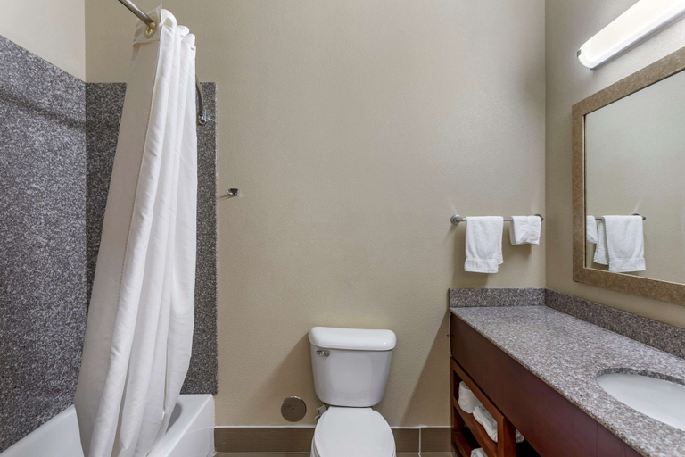 Bathroom 5, Comfort Inn & Suites Carbondale University Area, Jackson