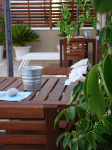 Others 5, Apartamentos Fleming 50, Baleares