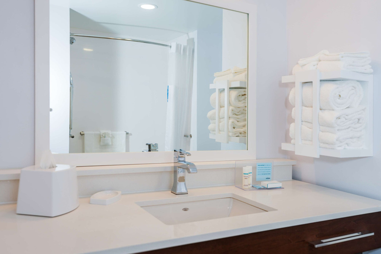 Bathroom 4, Hampton Inn & Suites Aurora South Denver, Arapahoe