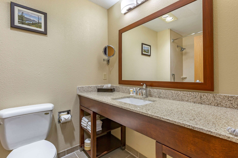 Bathroom 4, Comfort Inn & Suites Lordsburg I-10, Hidalgo