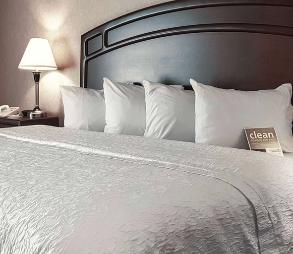 Bedroom 3, Hampton Inn & Suites by Hilton Edmonton Intl Airport, Division No. 11