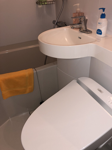 Bathroom 4, Hatoya Hotel, Toshima