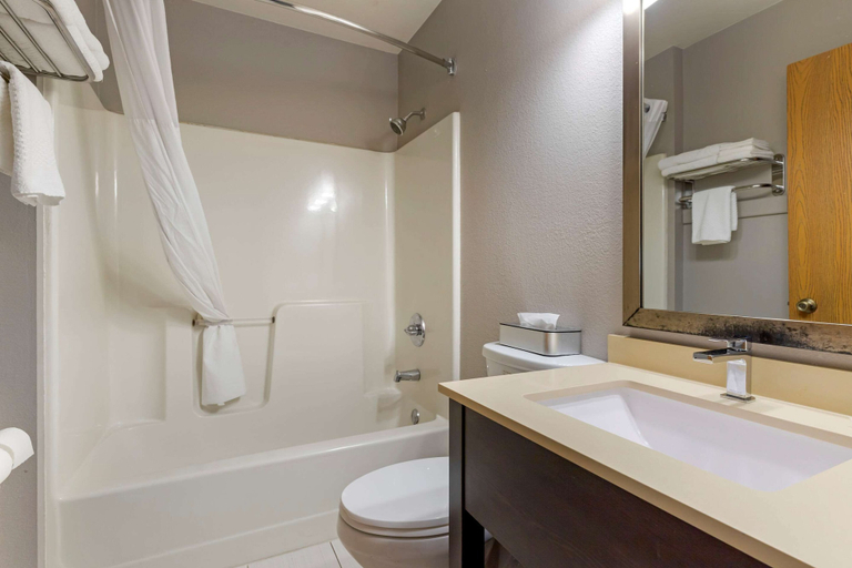 Bathroom 4, Quality Inn, Sequoyah