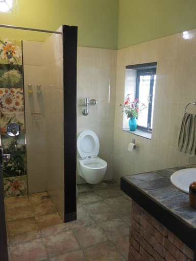 Bathroom, Hotel Mountain Ridge, Sagarmatha