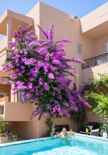 Exterior & Views 2, Solon Apartments, Crete