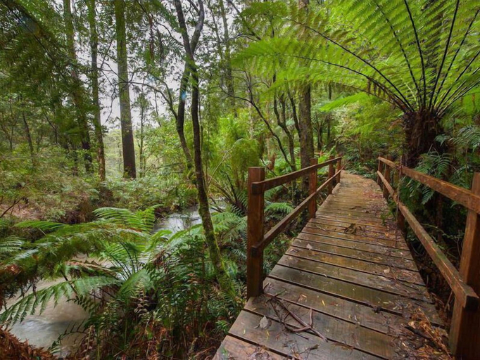 Others 4, The Source Otways, Colac-Otway - South