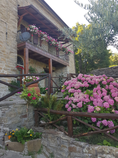 Exterior & Views 2, Alla Battuta, Arezzo