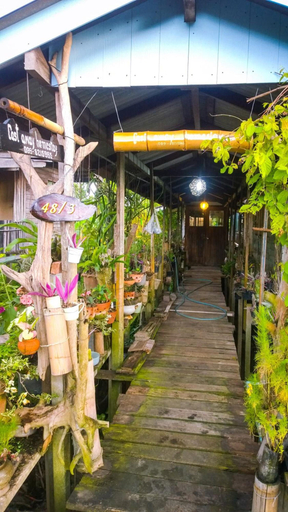 Others 4, Cast Away  Homestay, Pak Kret