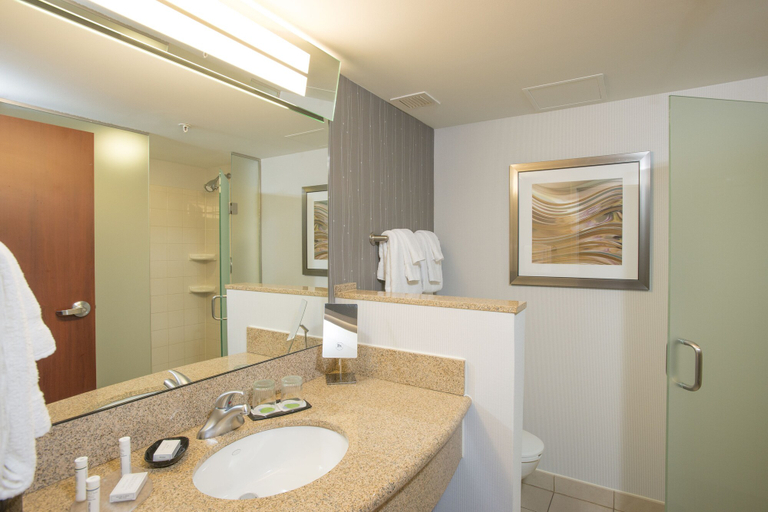 Bathroom 4, Courtyard by Marriott Cincinnati North at Union Centre, Butler