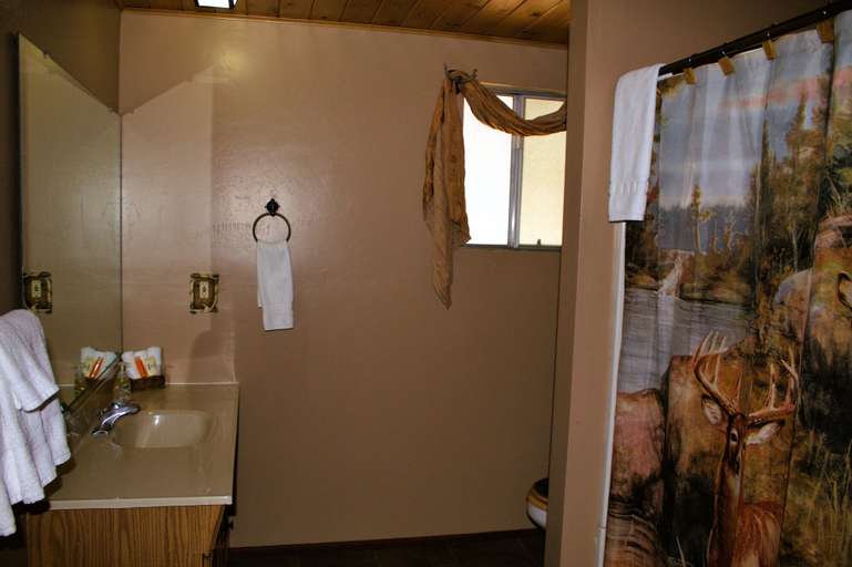 Bathroom 3, Goldmine Lodge, San Bernardino