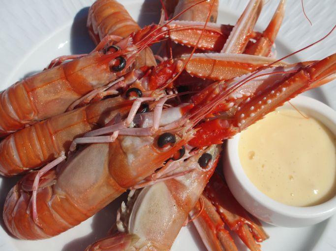 Food & Drinks 5, The Airds Hotel & Restaurant, Argyll and Bute