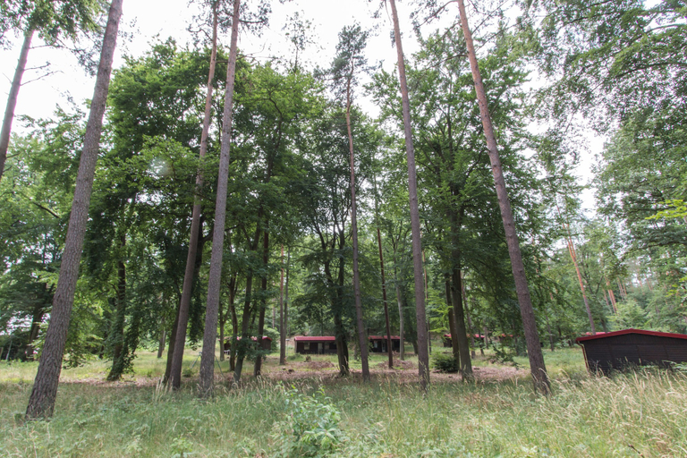 Others 5, Natura-Familienpark Grimnitzsee Recreation Park, Barnim
