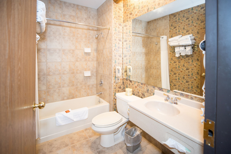 Bathroom 3, Great Wolf Lodge Sandusky OH, Erie