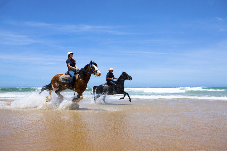 Others 5, On the Beach Getaway, Port Stephens