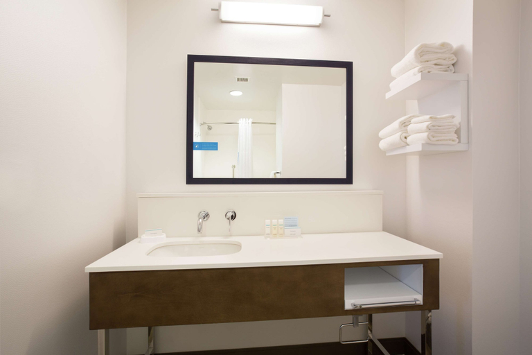 Bathroom 5, Hampton Inn & Suites Denver-Downtown, Denver