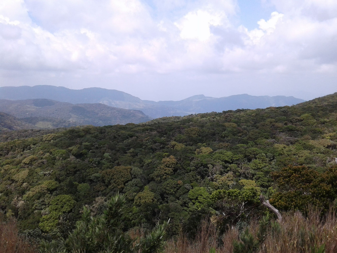 Others 4, Patana holiday home, Kotapola