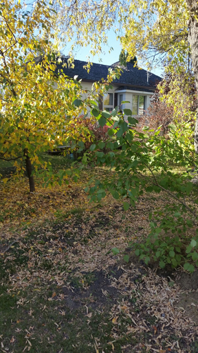 Others 5, Just You in Neepawa Vacation Home, Division No. 15