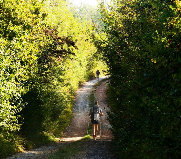 Others 5, Agriturismo Fattoria Aquilone, Terni