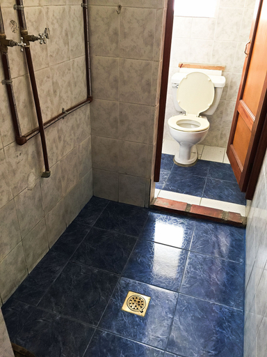 Bathroom 4, Greenhouse Bolivia - Hostel, Pedro Domingo Murillo