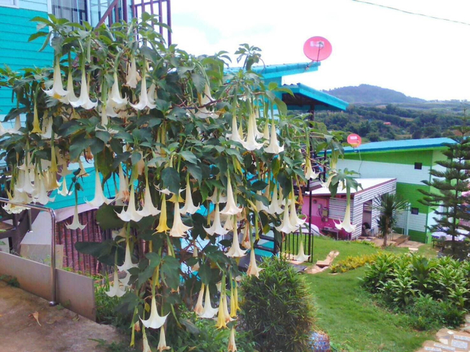Others 4, Phakdeehome Viewmorg, Khao Kho
