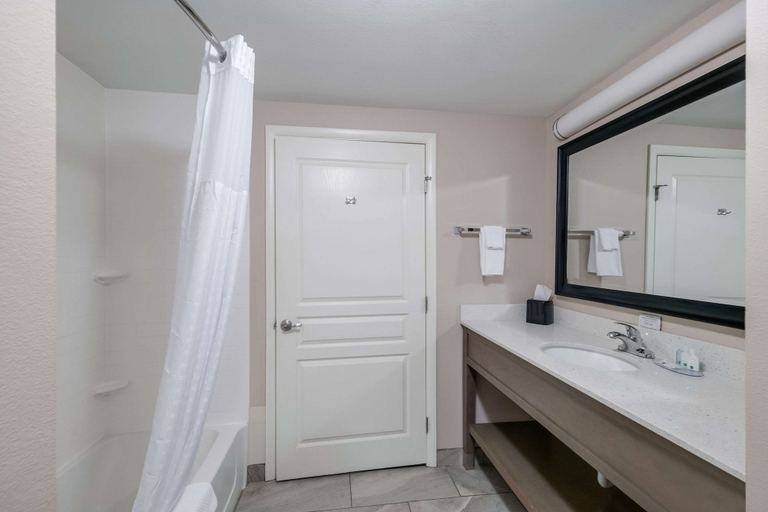 Bathroom 4, Quality Inn & Suites Ardmore, Carter