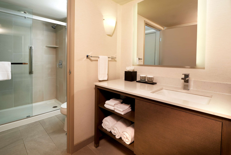 Bathroom 5, Embassy Suites by Hilton Phoenix Scottsdale, Maricopa